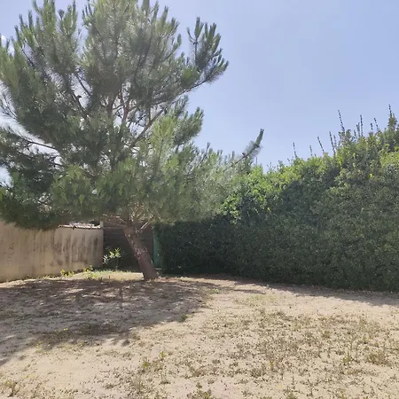 Semesterbostad Maison Familiale Proche - 5 Pers, Jean De Monts - Fr-1-323-410